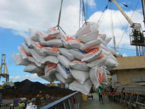 Tally Survey Bagged Cargo