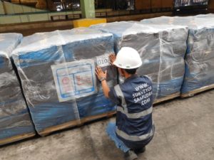 Rubber Survey in Indonesia